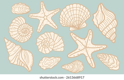 Set of hand drawn seashells. Summer vacation design elements for trendy prints, label, menu cover. Tropical beach shells. Vector flat illustration.