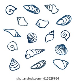 Set of hand drawn seashells - vector illustration
