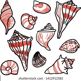 Set of hand drawn seashells: whelk shells, nautilus etc. Isolated on white.