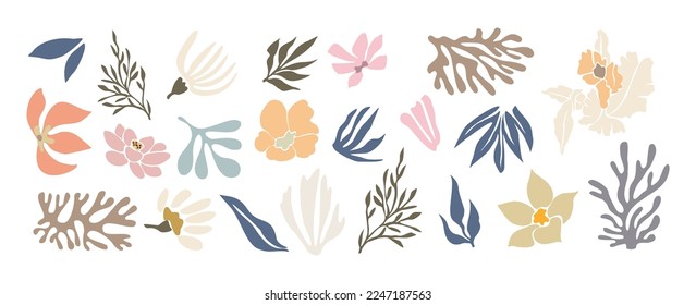 Set of hand drawn shapes and floral design elements. Exotic jungle leaves, flowers and algae. Abstract contemporary modern vector illustrations in trendy danish pastel colors on white background