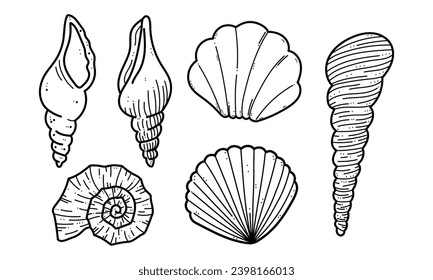 Set of hand drawn shells, clam, conch, nautilus clip art