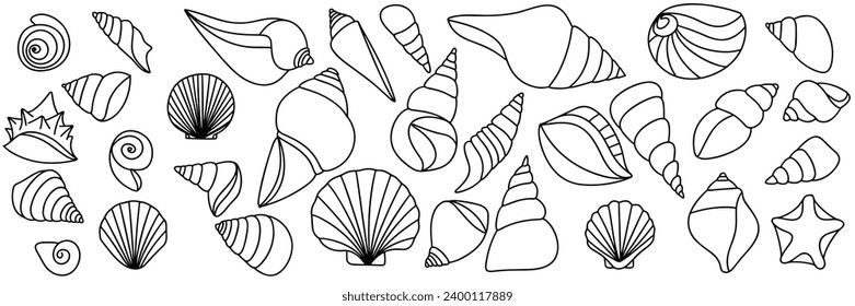 Set of hand drawn shells in doodle style. Collection of shells outline. Hand drawn vector art.