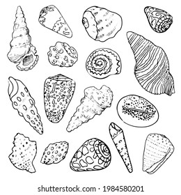 Set with hand drawn shells. Isolated on white background. Vector illustration. Stickers, card, poster clip-arts. Paper, textile design. Underwater, sea, ocean, marine, mollusk, spiral, tropical.
