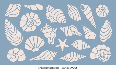 Set of hand drawn shells. Seashells, nautical elements for summer design. Vector retro shapes
