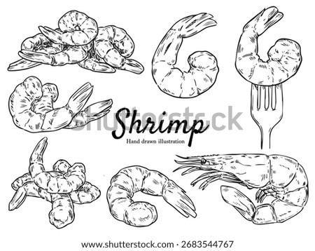 Set of hand drawn shrimp outline drawing illustration