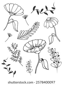 Set of hand drawn silhouettes of plants and flowers on white background. Trendy botanical vector illustration.