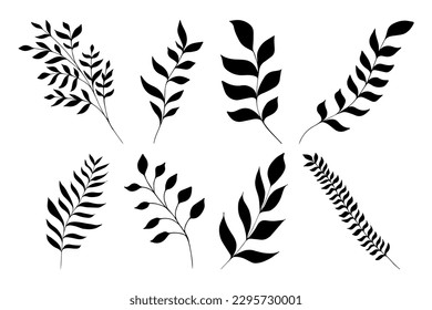 Set of hand drawn silhouettes of stems with leaves, herbs, grass and branches. Tree art design. Isolated black on white elements for design