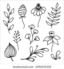 Conjunto de Elementos de doodle florales botánicos simples dibujados a mano