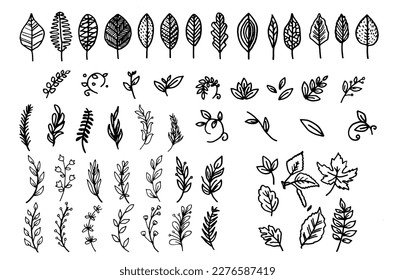 set of hand drawn simple leaves doodles