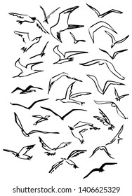 Set of hand drawn simple seagulls. Sketch, drawing, black lineart on white background