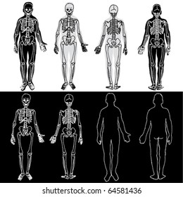 Set of Hand Drawn Skeletons
