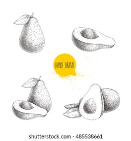 Set of hand drawn sketch avocados. Whole, cut and fruit compositions. Vector exotic fruits illustration isolated on white background.