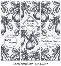 Set of hand drawn sketch banners with figs. Vintage eco food drawing. Vector illustration.