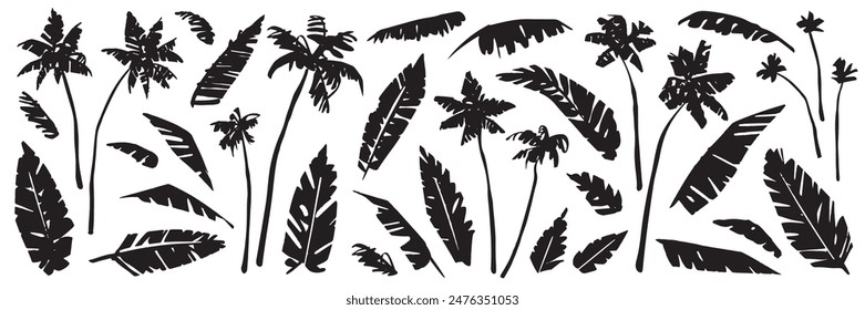 Set of hand drawn sketch black palm trees and palm leaves isolated on white background. Abstract silhouette of tropical plants. Vector illustration clipart