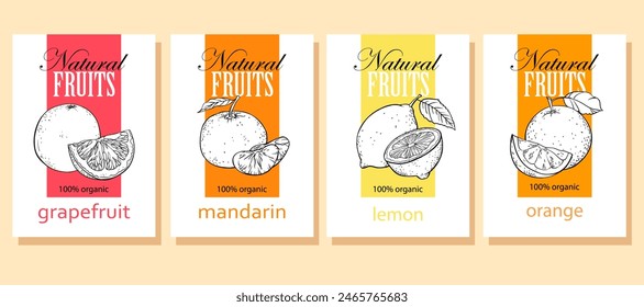 Set of hand drawn sketch citrus fruits vector illustration. Template for healthy eco nature organic products and cosmetics.