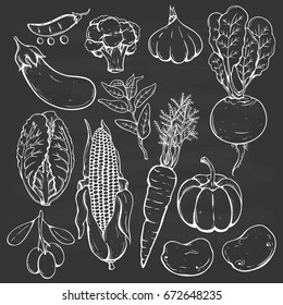 set of hand drawn or sketch fresh vegetables on chalkboard background