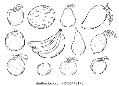 Set of hand drawn sketch fruits vector illustration. Template for healthy eco nature organic products and cosmetics.