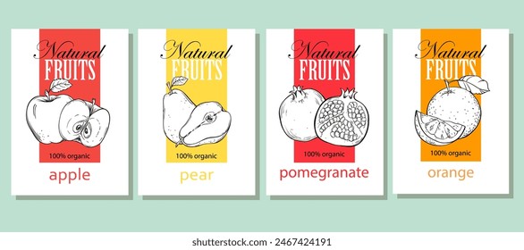 Set of hand drawn sketch fruits and berries vector illustration. Template for healthy eco nature organic products and cosmetics.