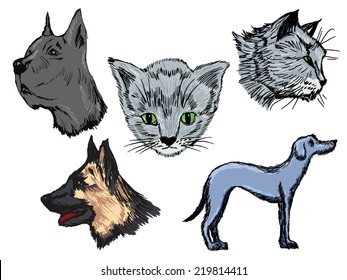 Set of hand drawn, sketch illustrations of cats and dogs
