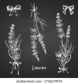 Set of hand drawn sketch of Lavender flower and cute bows isolated on chalkboard background. Vintage vector illustration. France provence retro pattern for romantic fresh design concept Vector