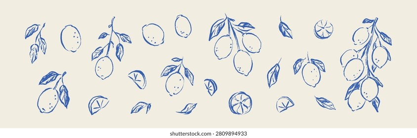 Set of hand drawn sketch line art doodle lemon fruit, branch, leaves. Pencil scribble. Vintage botany citrus plant design element. Italian background. Charcoal, chalk, pastel lime freehand drawing