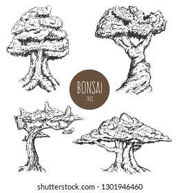 Set of hand drawn sketch old tree or decorative japan bonsai tree isolated on white background. Vector vintage retro illustration.