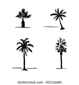 Set of hand drawn sketch palm trees on white background. Vector set of four palm trees. Logo set of palm trees.