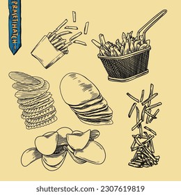 set of hand drawn sketch of potatoes 