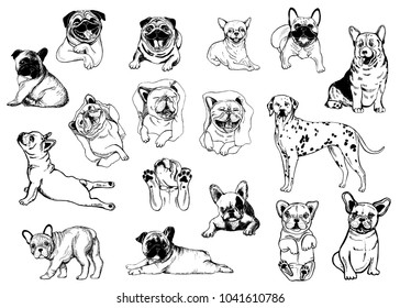 Set of hand drawn sketch style dogs isolated on white background. Vector illustration.