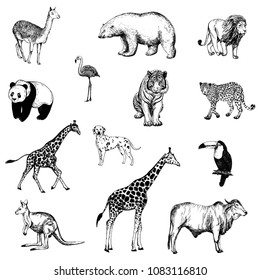 Set of hand drawn sketch style animals and birds isolated on white background. Vector illustration.