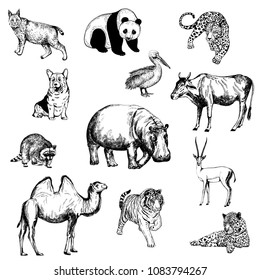 Set of hand drawn sketch style animals and bird isolated on white background. Vector illustration.