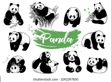 Featured image of post Cartoon Pandas Drawings