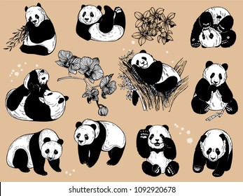 Panda Illustration Vector Images Stock Photos Vectors Shutterstock