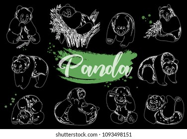 Set of hand drawn sketch style giant pandas isolated on black background. Vector illustration.
