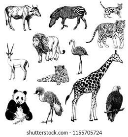 Set of hand drawn sketch style animals isolated on white background. Vector illustration.