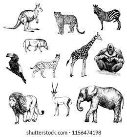 Set of hand drawn sketch style animals isolated on white background. Vector illustration.