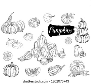 Set of hand drawn sketch style pumpkins isolated on white background. Vector illustration.
