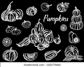 Set of hand drawn sketch style pumpkins isolated on black background. Vector illustration.