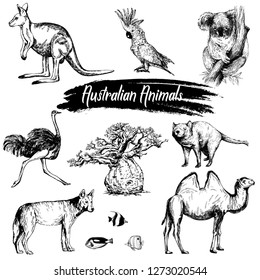 Set of hand drawn sketch style Australian animals isolated on white background. Vector illustration.