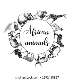 Set of hand drawn sketch style African animal isolated on white background. Vector illustration.