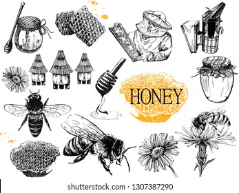 Set of hand drawn sketch style beekeeping themed objects isolated on white background. Vector illustration.