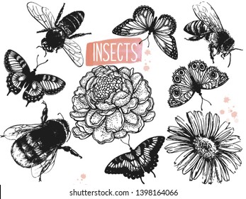 Set of hand drawn sketch style insects and flowers isolated on white background. Vector illustration.