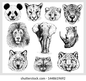 Set of hand drawn sketch style portraits of animals isolated on white background. Vector illustration.