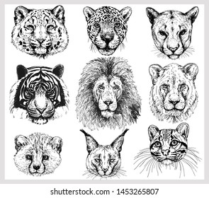 Set of hand drawn sketch style portraits of animals isolated on white background. Vector illustration.