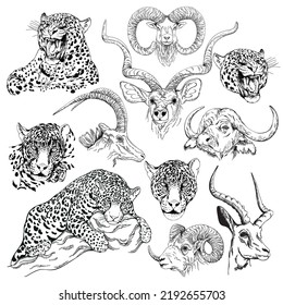 Set of hand drawn sketch style animals isolated on white background. Vector illustration.