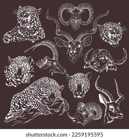 Set of hand drawn sketch style animals isolated on dark background. Vector illustration.