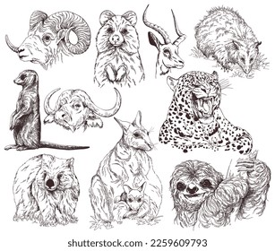 Set of hand drawn sketch style animals isolated on white background. Vector illustration.