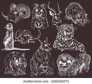 Set of hand drawn sketch style animals isolated on dark background. Vector illustration.