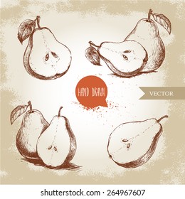 Set of hand drawn sketch style pears. sliced ripe pears. Vintage organic food illustration.