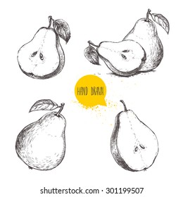 Set of hand drawn sketch style pears. Sliced ripe pears. Vintage organic food illustration. 